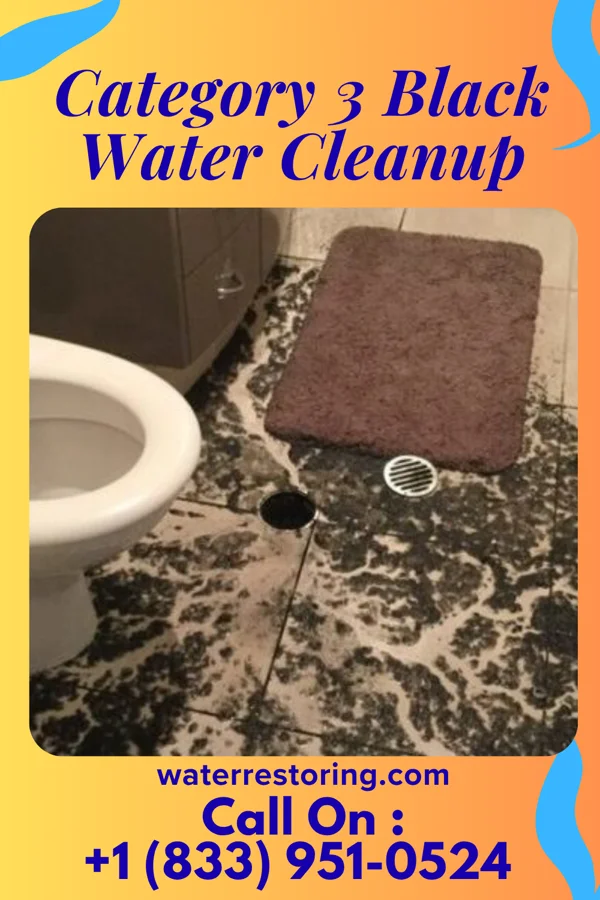 Category 3 Black Water Cleanup in Wright-Patterson AFB, OH